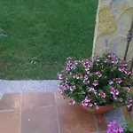 Delizioso Nido Nel Blu