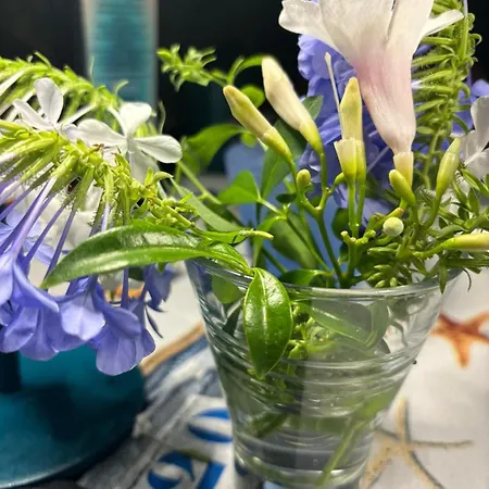 Delizioso Nido Nel Blu Ferienhaus