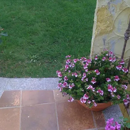 Delizioso Nido Nel Blu