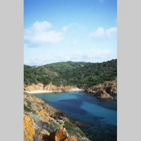 Delizioso Nido Nel Blu