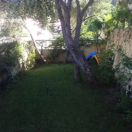 Delizioso Nido Nel Blu