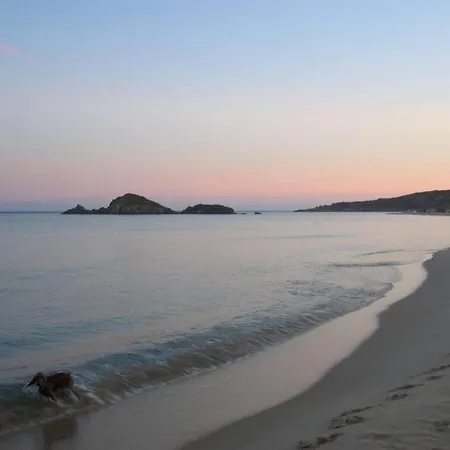 Delizioso Nido Nel Blu Chia