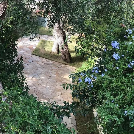 Delizioso Nido Nel Blu Σπίτι διακοπών Chia