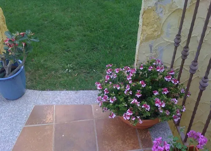 Delizioso Nido Nel Blu